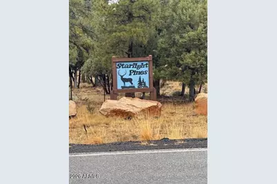 2625 Roundup Lane #246, Happy Jack, AZ 86024 - Photo 7