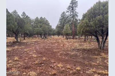 2625 Roundup Lane #246, Happy Jack, AZ 86024 - Photo 3