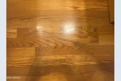 1522 S Omaha Drive, Apache Junction, AZ 85119 - Photo 19