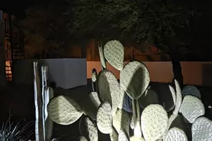 14007 E Bajada Dr, Scottsdale, AZ 85262 - Photo 99