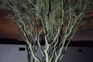 14007 E Bajada Dr, Scottsdale, AZ 85262 - Photo 101