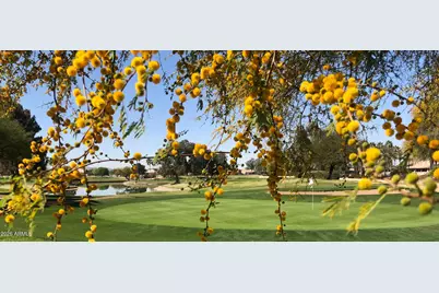 6410 S Senate Street, Chandler, AZ 85249 - Photo 45