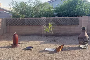 1869 E Birch St, Casa Grande, AZ 85122 - Photo 7