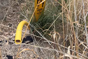 510 Camino de Nevada, Bisbee, AZ 85603 - Photo 3