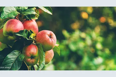 65 Junipine Circle, Sedona, AZ 86336 - Photo 59