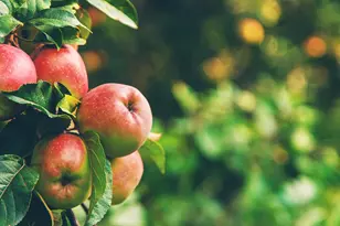 65 Junipine Cir, Sedona, AZ 86336 - Photo 59