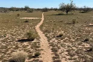 21175 W Westward View Rd, Congress, AZ 85332 - Photo 5