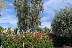 10905 W El Capitan Cir, Sun City, AZ 85351 - Photo 25