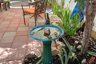 850 S State Route 69 --, Dewey, AZ 86327 - Photo 33