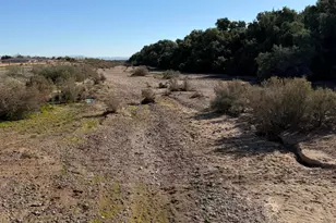 1275 W Via Del Palo, Queen Creek, AZ 85140 - Photo 67