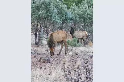 2795 Coyote Ridge, Happy Jack, AZ 86024 - Photo 31