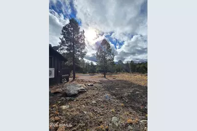 2795 Coyote Ridge, Happy Jack, AZ 86024 - Photo 7