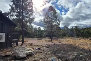 2795 Coyote Ridge, Happy Jack, AZ 86024 - Photo 7