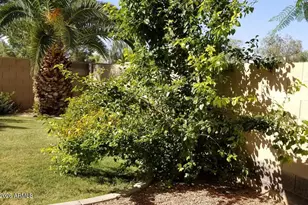 2302 E Winged Foot Dr, Chandler, AZ 85249 - Photo 5