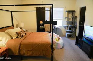 2665 E Renegade Trail, San Tan Valley, AZ 85143 - Photo 13