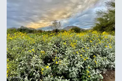 3474 N Hooper Street, Buckeye, AZ 85396 - Photo 81