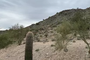 3474 N Hooper St, Buckeye, AZ 85396 - Photo 67