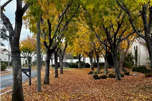 3474 N Hooper St, Buckeye, AZ 85396 - Photo 65