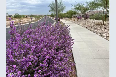 3474 N Hooper Street, Buckeye, AZ 85396 - Photo 61