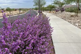 3474 N Hooper St, Buckeye, AZ 85396 - Photo 61