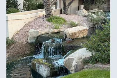 9705 E Mountain View Road #1126, Scottsdale, AZ 85258 - Photo 31