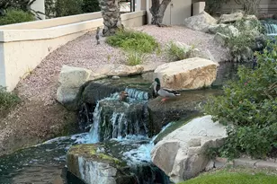 9705 E Mountain View Rd, Scottsdale, AZ 85258 - Photo 31