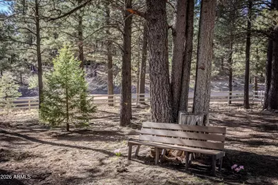 1415 Sheep Springs Road, Forest Lakes, AZ 85931 - Photo 25