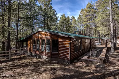 1415 Sheep Springs Road, Forest Lakes, AZ 85931 - Photo 35
