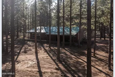 1415 Sheep Springs Road, Forest Lakes, AZ 85931 - Photo 39