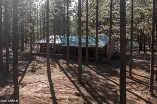 1415 Sheep Springs Rd, Forest Lakes, AZ 85931 - Photo 39