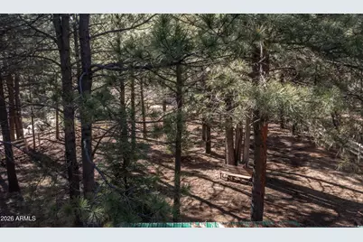 1415 Sheep Springs Road, Forest Lakes, AZ 85931 - Photo 45