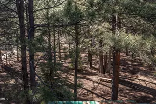 1415 Sheep Springs Rd, Forest Lakes, AZ 85931 - Photo 45