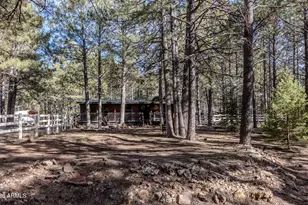 1415 Sheep Springs Rd, Forest Lakes, AZ 85931 - Photo 27