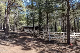 1415 Sheep Springs Rd, Forest Lakes, AZ 85931 - Photo 27