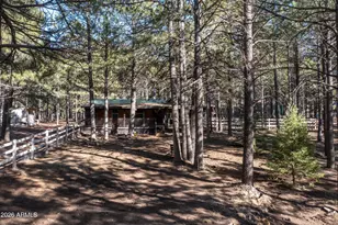 1415 Sheep Springs Rd, Forest Lakes, AZ 85931 - Photo 43