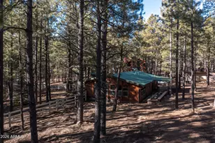 1415 Sheep Springs Rd, Forest Lakes, AZ 85931 - Photo 47