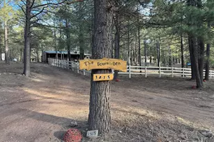 1415 Sheep Springs Rd, Forest Lakes, AZ 85931 - Photo 41