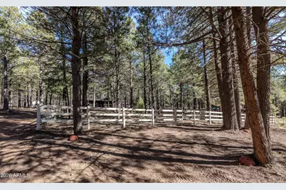 1415 Sheep Springs Road, Forest Lakes, AZ 85931 - Photo 25