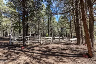 1415 Sheep Springs Rd, Forest Lakes, AZ 85931 - Photo 25