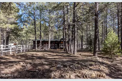 1415 Sheep Springs Road, Forest Lakes, AZ 85931 - Photo 29