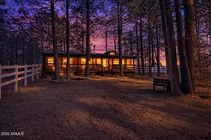 1415 Sheep Springs Rd, Forest Lakes, AZ 85931 - Photo 1