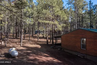 1415 Sheep Springs Road, Forest Lakes, AZ 85931 - Photo 39