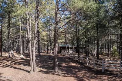 1415 Sheep Springs Road, Forest Lakes, AZ 85931 - Photo 43