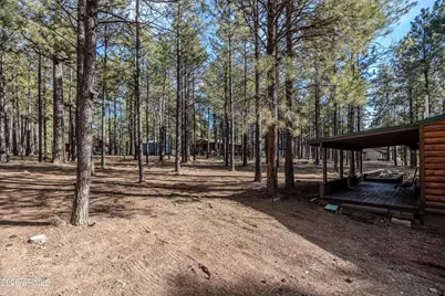 1415 Sheep Springs Road, Forest Lakes, AZ 85931 - Photo 33