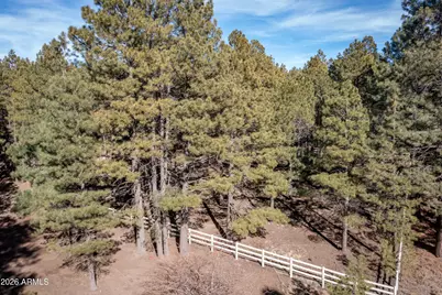 1415 Sheep Springs Road, Forest Lakes, AZ 85931 - Photo 45