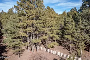 1415 Sheep Springs Rd, Forest Lakes, AZ 85931 - Photo 45