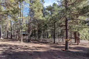 1415 Sheep Springs Rd, Forest Lakes, AZ 85931 - Photo 37