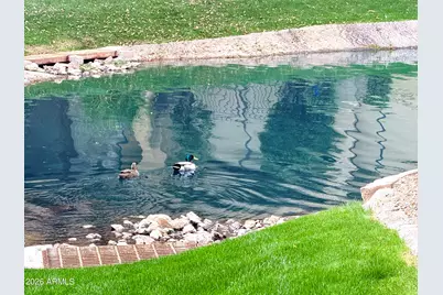 705 W Queen Creek Road #2114, Chandler, AZ 85248 - Photo 45