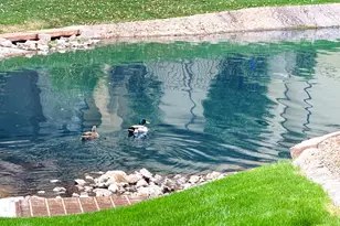 705 W Queen Creek Rd, Chandler, AZ 85248 - Photo 45