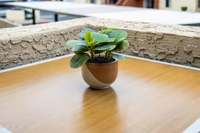 5704 E Aire Libre Avenue #2051, Scottsdale, AZ 85254 - Photo 57